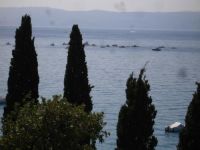 Apartmani Apartmani-m, Crikvenica
